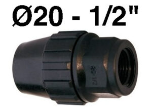 Enlace Rosca Hembra 20-1/2 Fitting