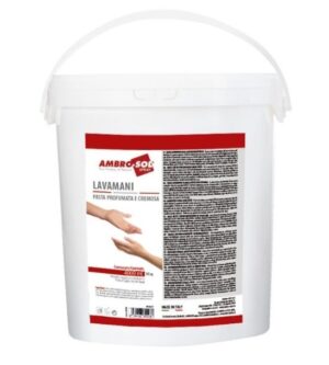 Pasta Lavamanos 4 Lt.